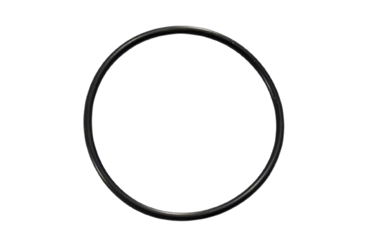 Onga Pantera Tank Flange O-Ring