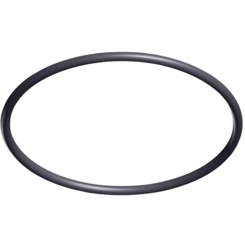 TriStar Strainer Cover O-Ring